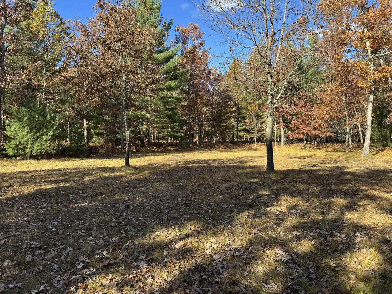 Parcel 13 County Line Road - Photo 1