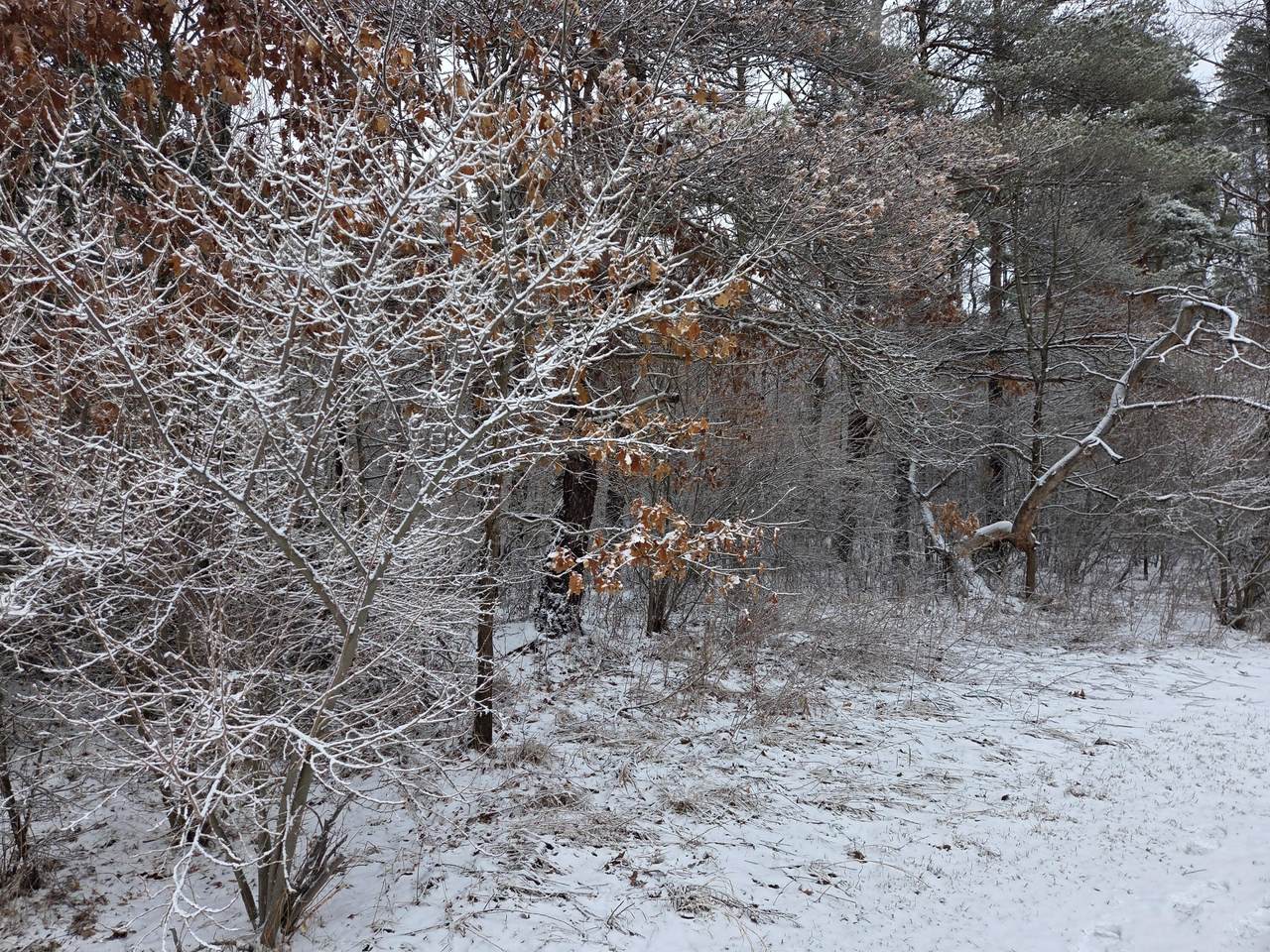 https://bt-photos.global.ssl.fastly.net/swmich/1280_boomver_1_26010083-2.jpg