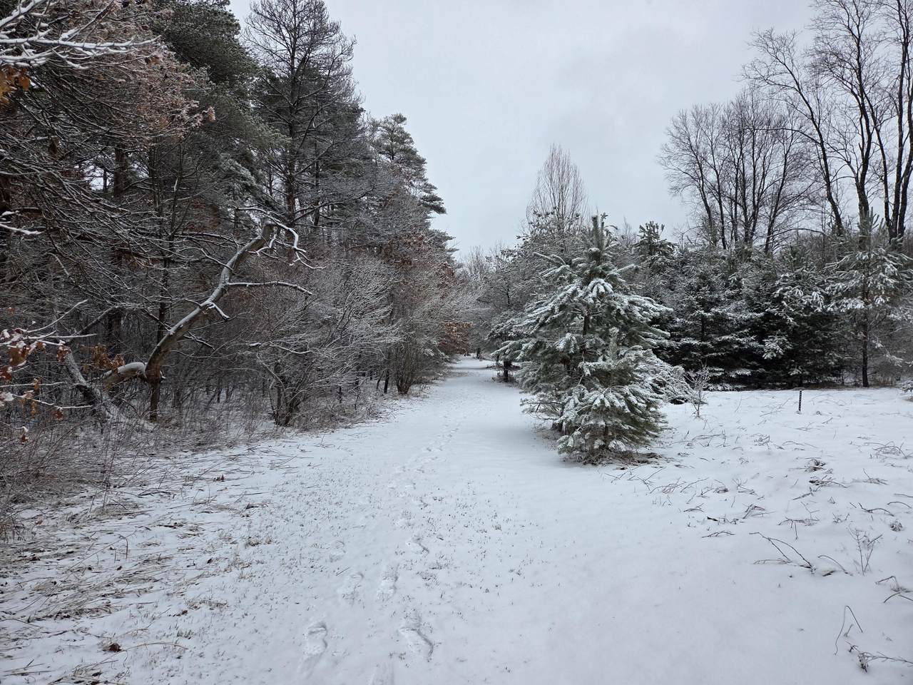 https://bt-photos.global.ssl.fastly.net/swmich/1280_boomver_1_26010083-2.jpg