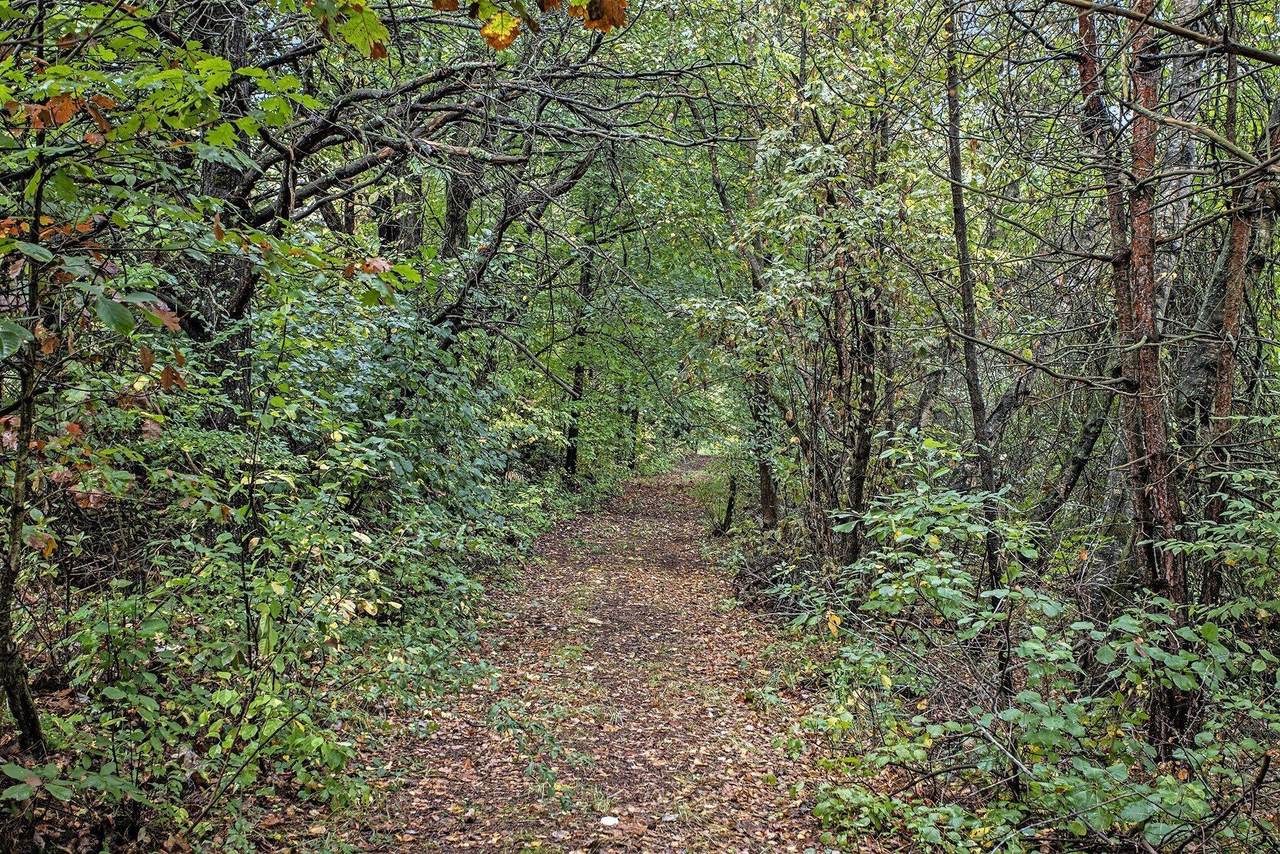 https://bt-photos.global.ssl.fastly.net/swmich/1280_boomver_1_26010207-2.jpg