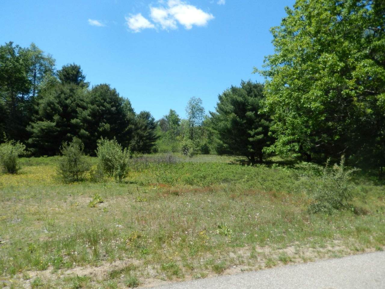 6265 Kilkenny Drive - Photo 1