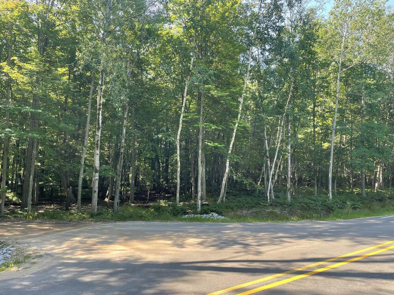  Ridge Road - Photo 1