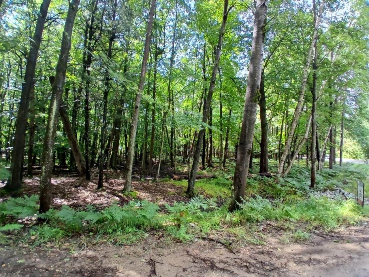 https://bt-photos.global.ssl.fastly.net/swmich/1280_boomver_1_26010409-2.jpg