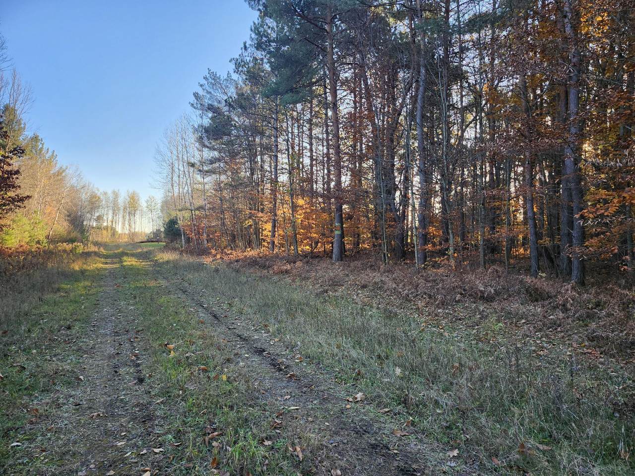 https://bt-photos.global.ssl.fastly.net/swmich/1280_boomver_1_26010528-2.jpg