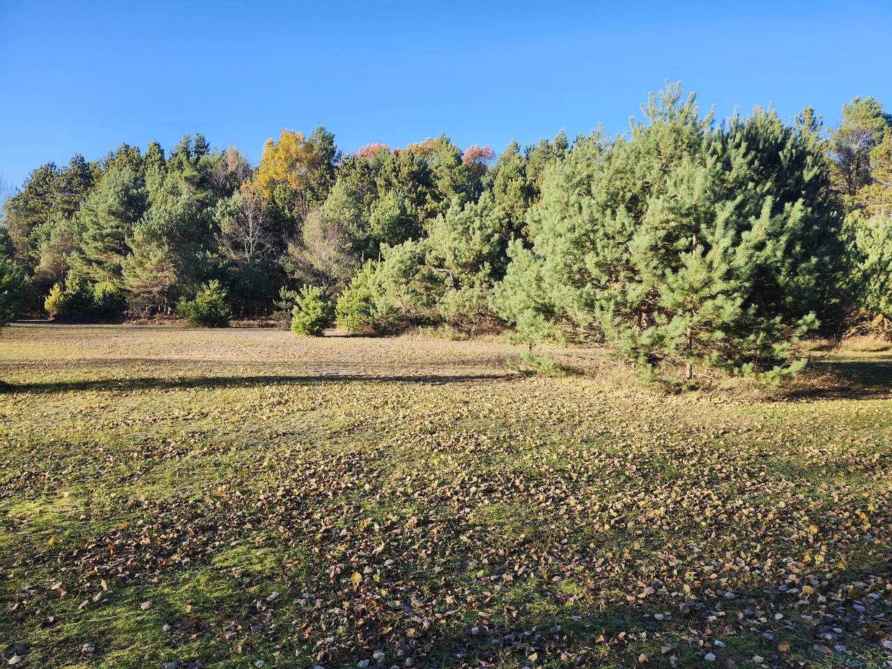 https://bt-photos.global.ssl.fastly.net/swmich/1280_boomver_1_26010528-2.jpg