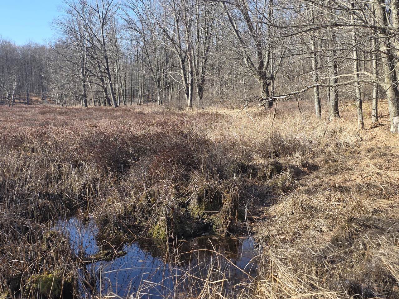  2 Mile Road - Photo 1