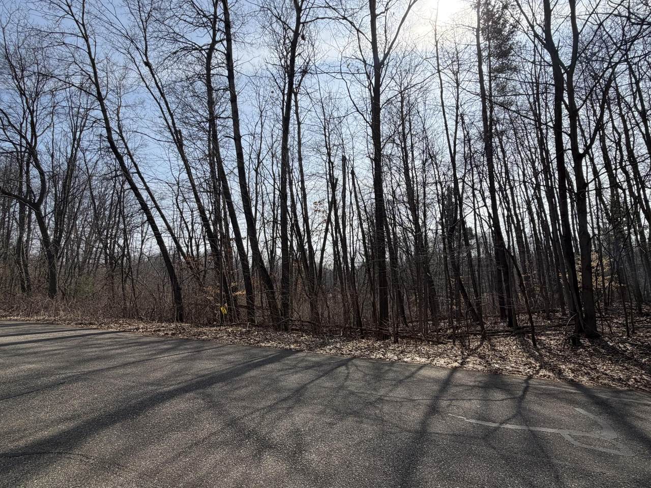 12952 Bowen Lake Drive - Photo 1