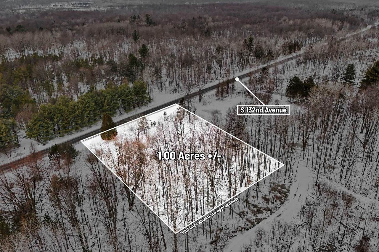 VL 132nd Avenue - Photo 1
