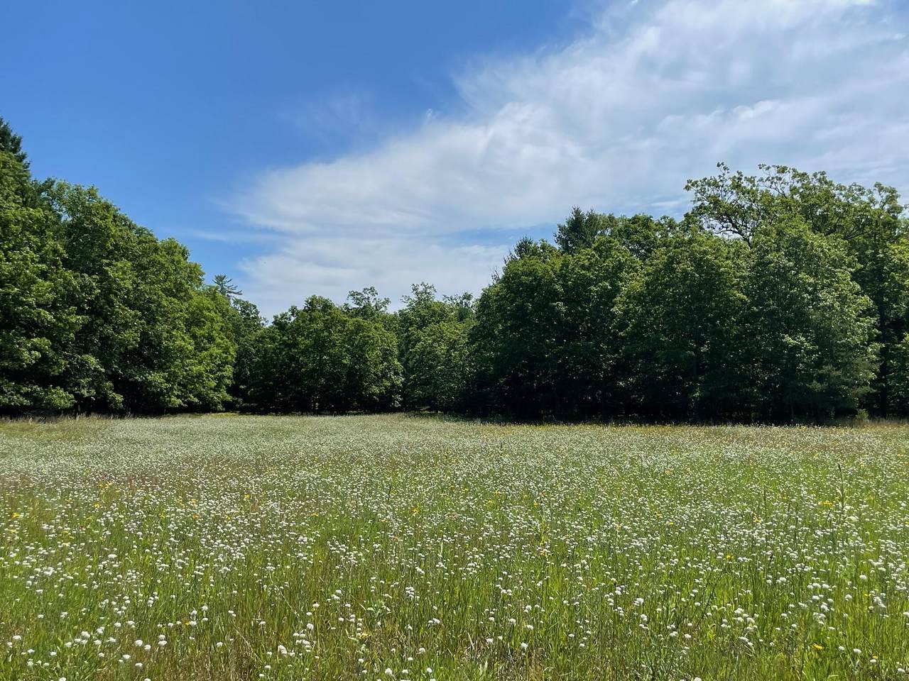 10652 River Road - Photo 1