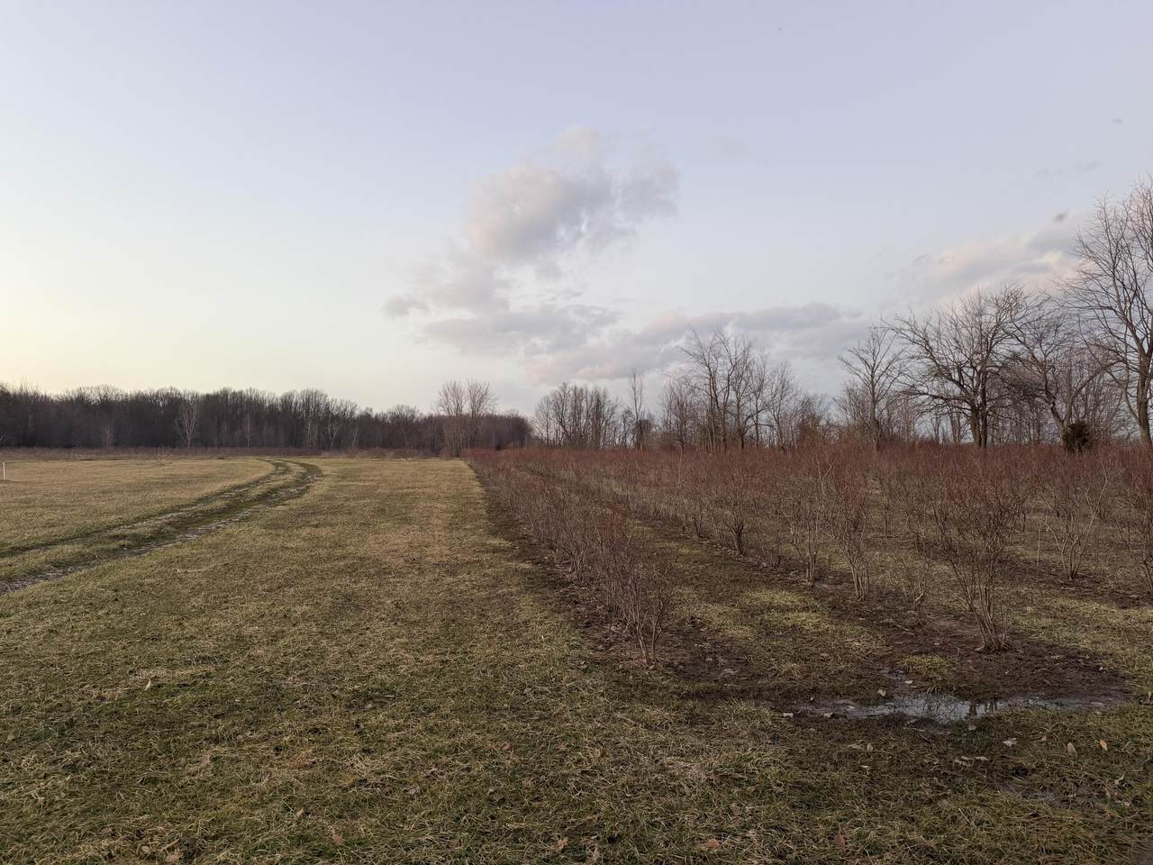 https://bt-photos.global.ssl.fastly.net/swmich/1280_boomver_1_26011290-2.jpg