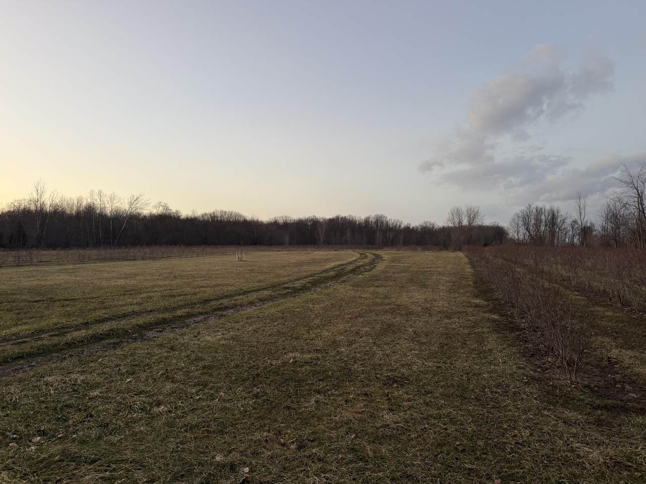 https://bt-photos.global.ssl.fastly.net/swmich/1280_boomver_1_26011290-2.jpg