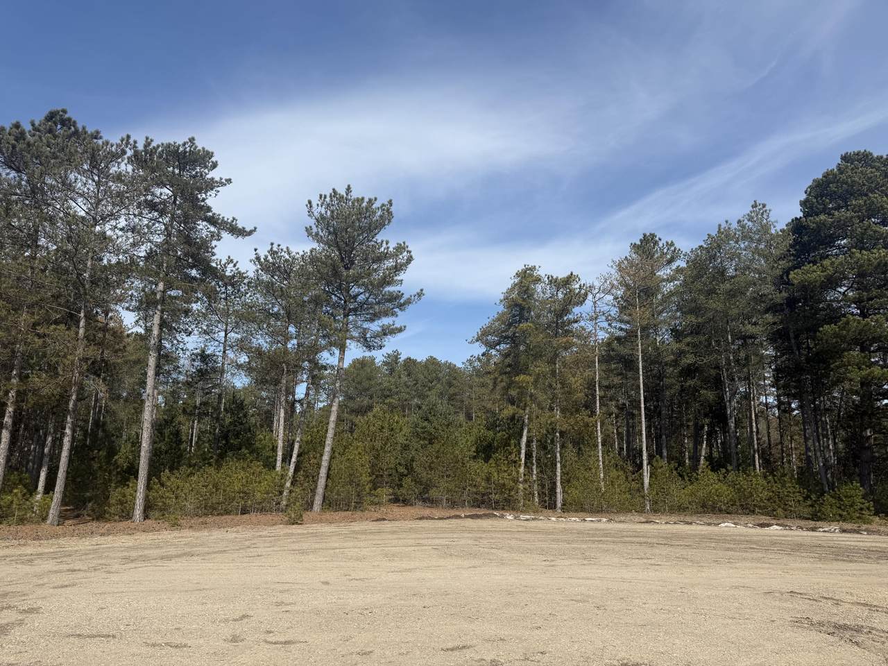 V/L Pine Acres Trail - Photo 1