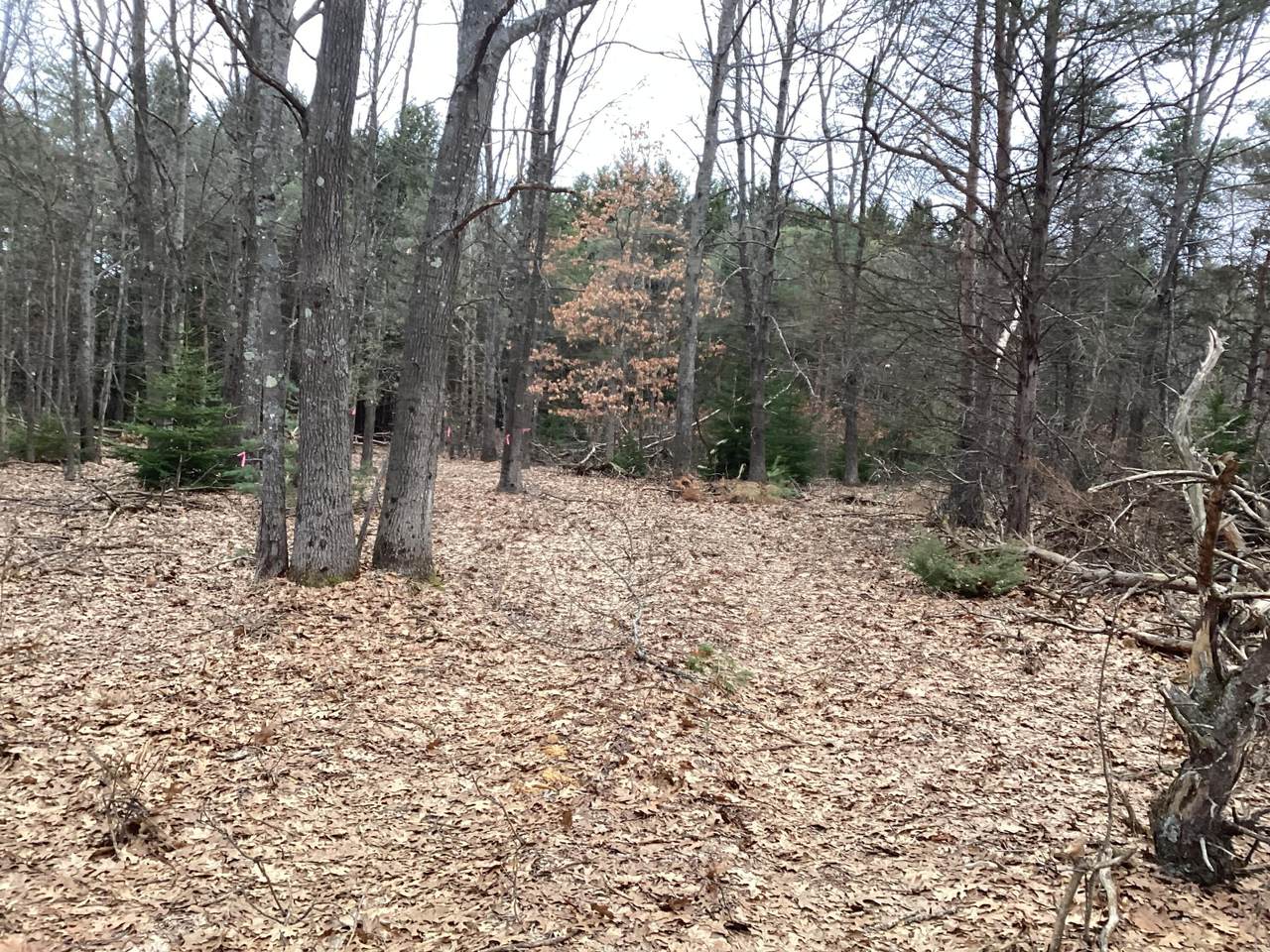 2510 Winston Road - Photo 1