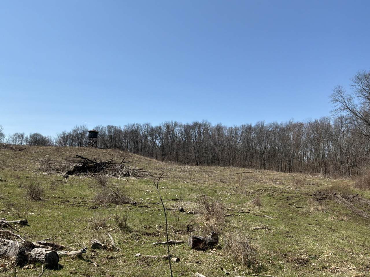 https://bt-photos.global.ssl.fastly.net/swmich/1280_boomver_1_26011613-2.jpg