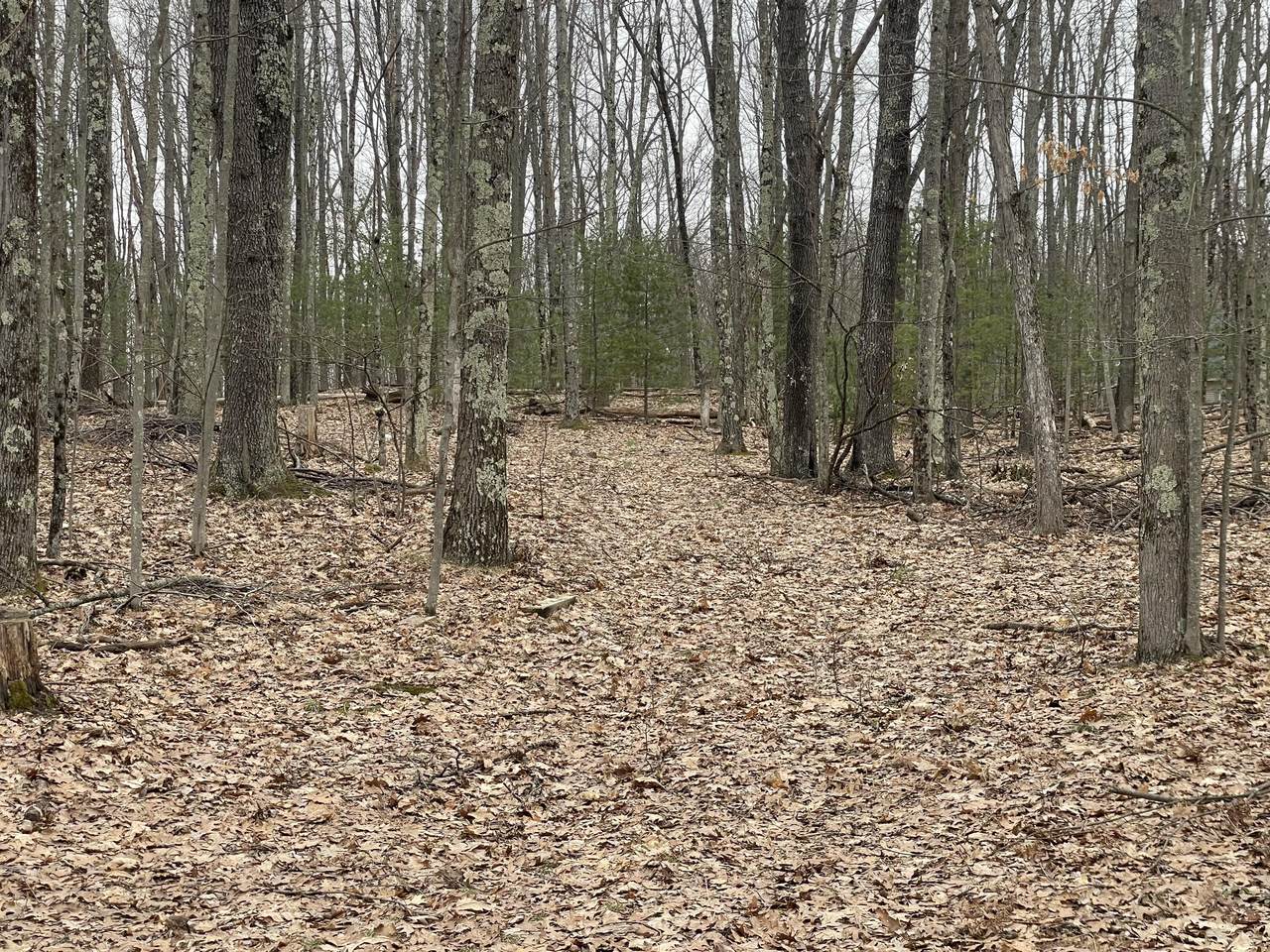 V/L Deer Track Trail - Photo 1