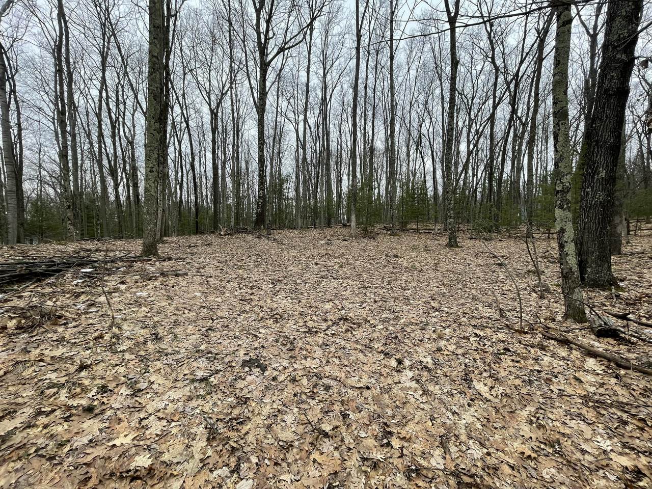 https://bt-photos.global.ssl.fastly.net/swmich/1280_boomver_1_26011684-2.jpg