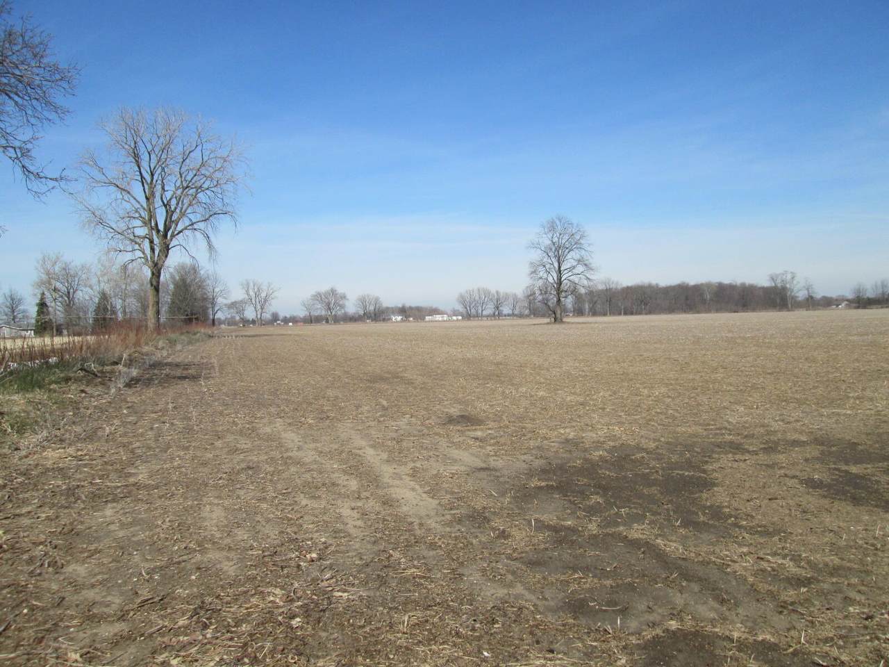 V/L Lemon Creek Road - Photo 1