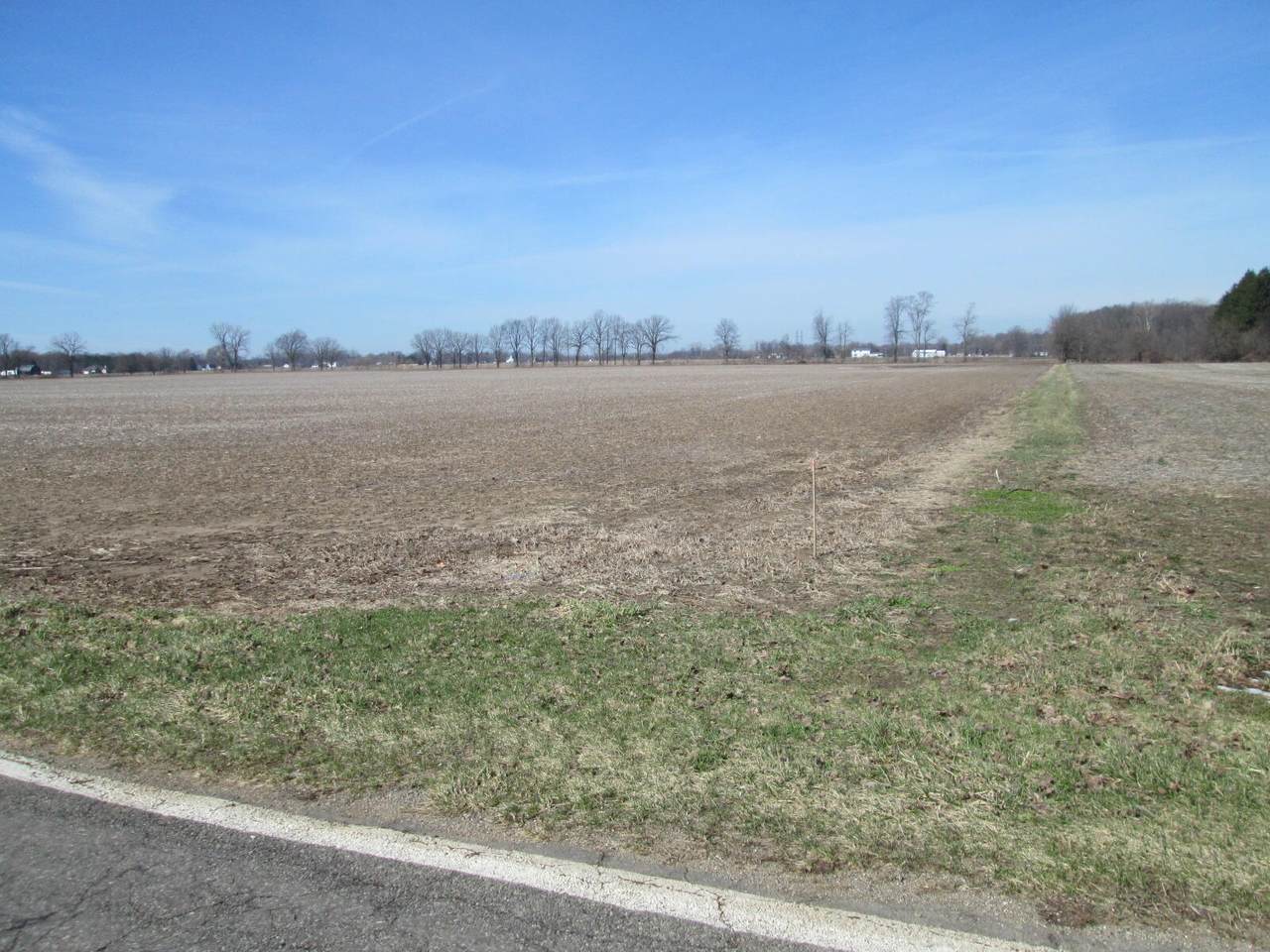 V/L Lemon Creek Road - Photo 1