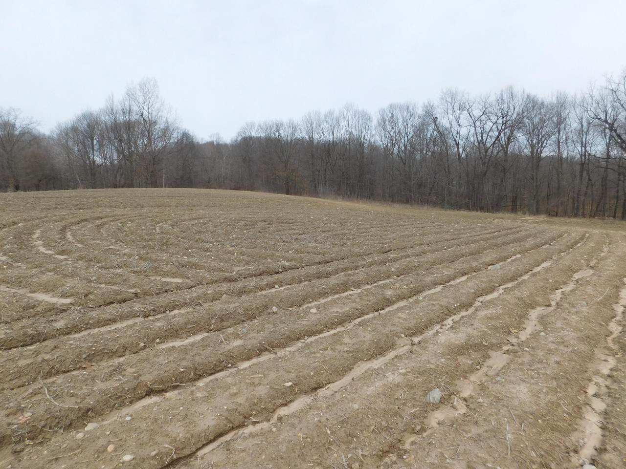  Cox Road - Photo 1