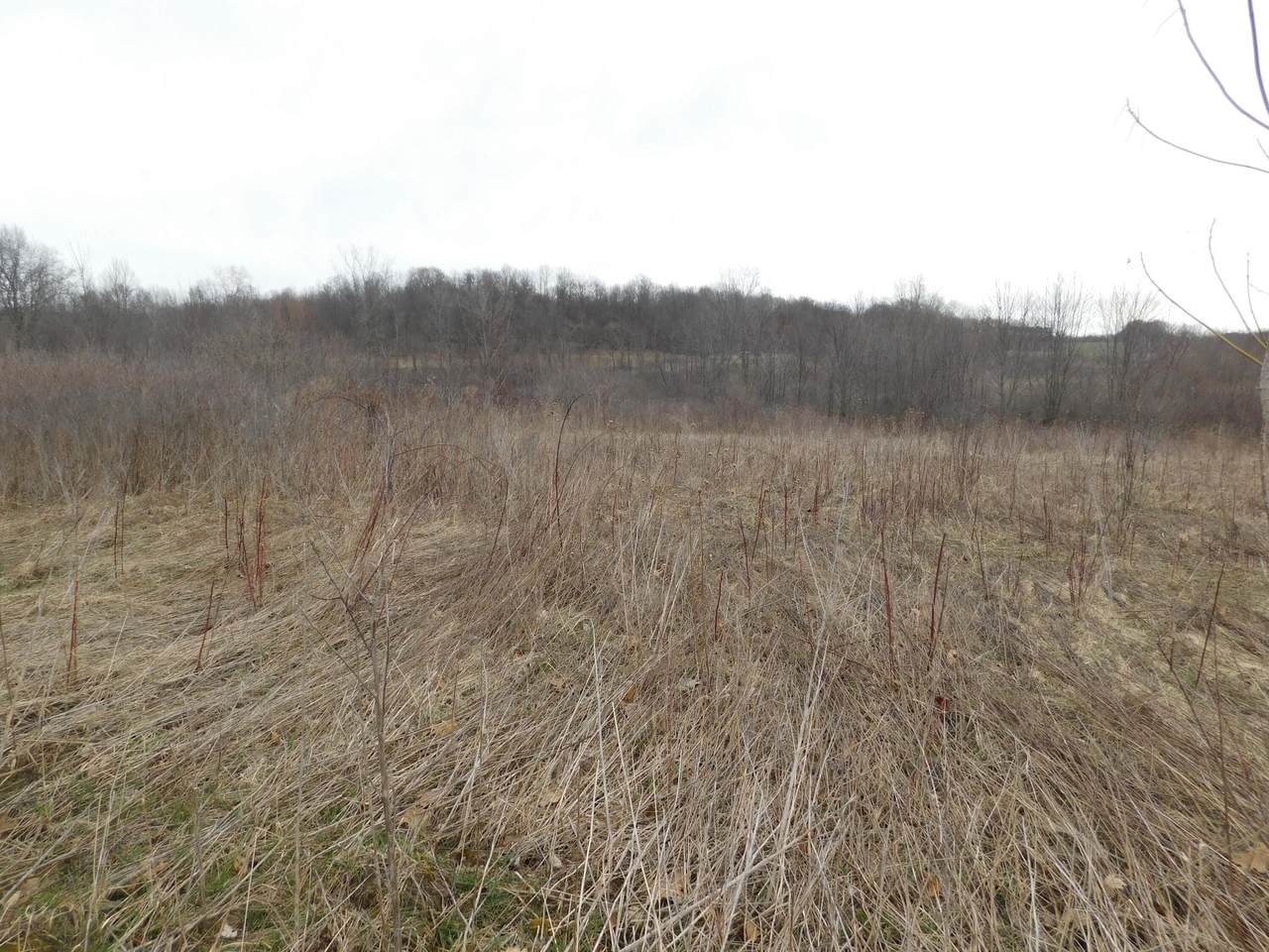 https://bt-photos.global.ssl.fastly.net/swmich/1280_boomver_1_26012221-2.jpg