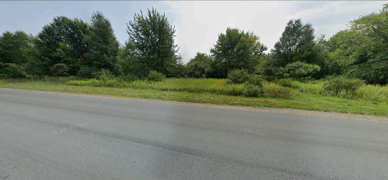  Red Arrow Highway - Photo 1