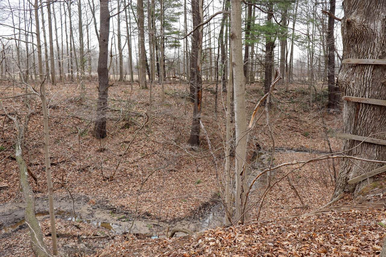 https://bt-photos.global.ssl.fastly.net/swmich/orig_boomver_1_26012339-2.jpg