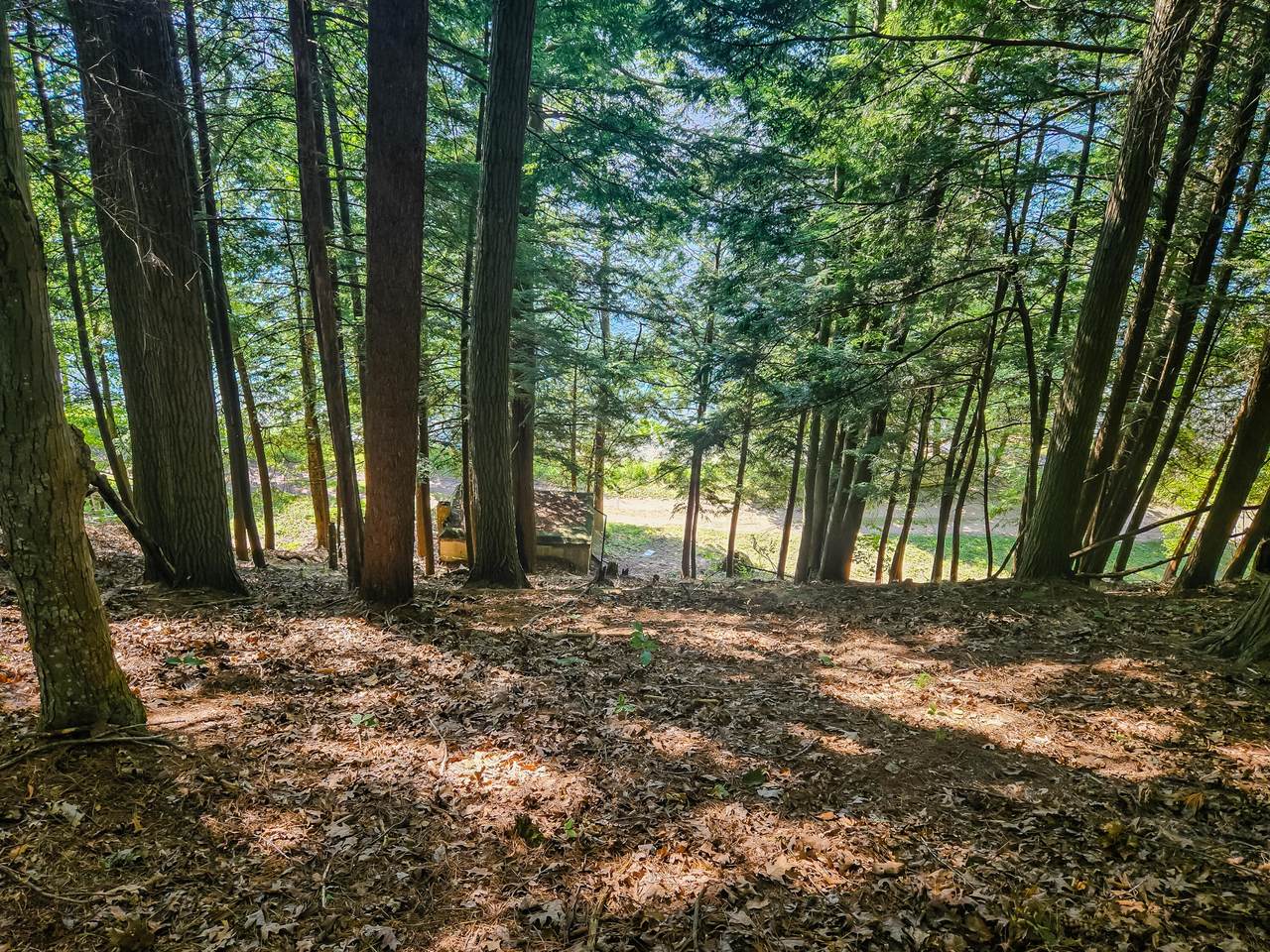 https://bt-photos.global.ssl.fastly.net/swmich/1280_boomver_1_26012463-2.jpg
