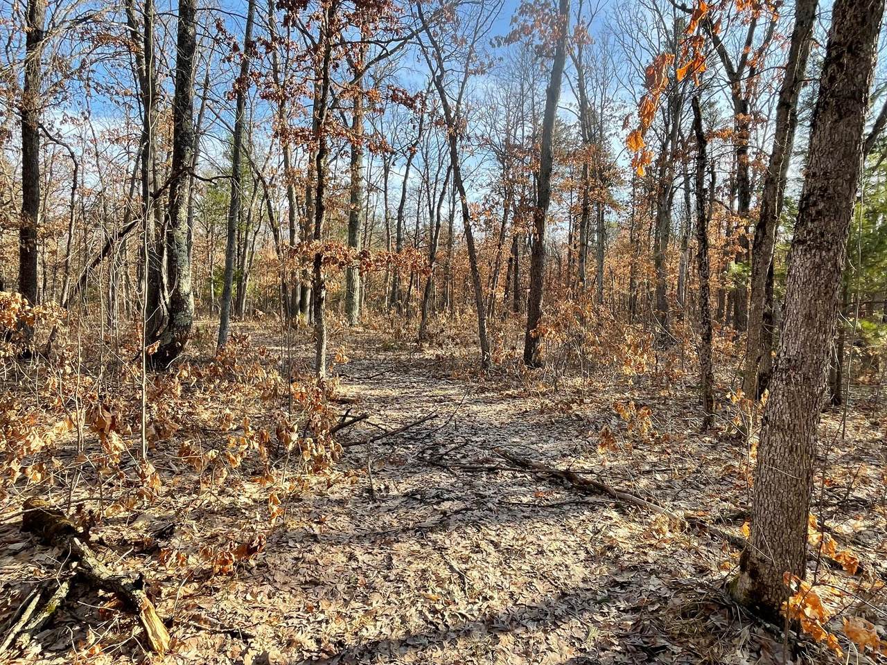 https://bt-photos.global.ssl.fastly.net/swmich/1280_boomver_1_26012521-2.jpg