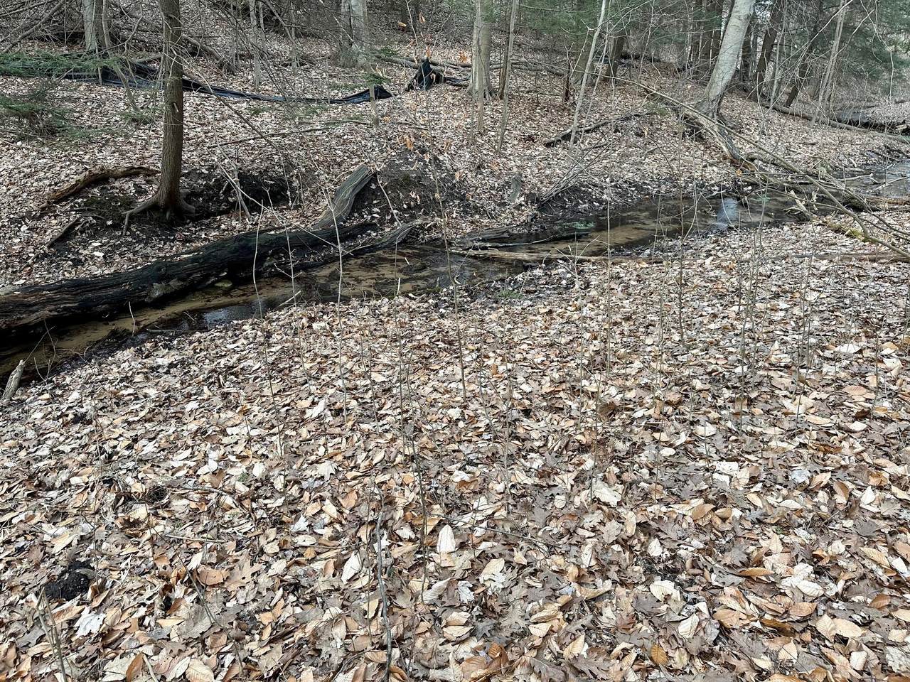 V/L Beaune Road - Photo 1