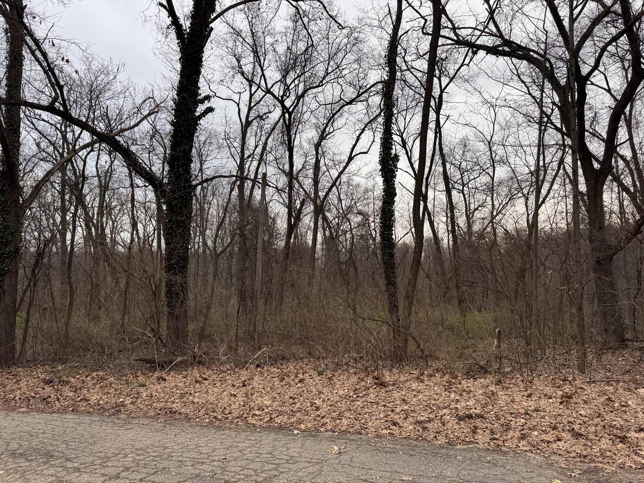  Lakeview Drive - Photo 1