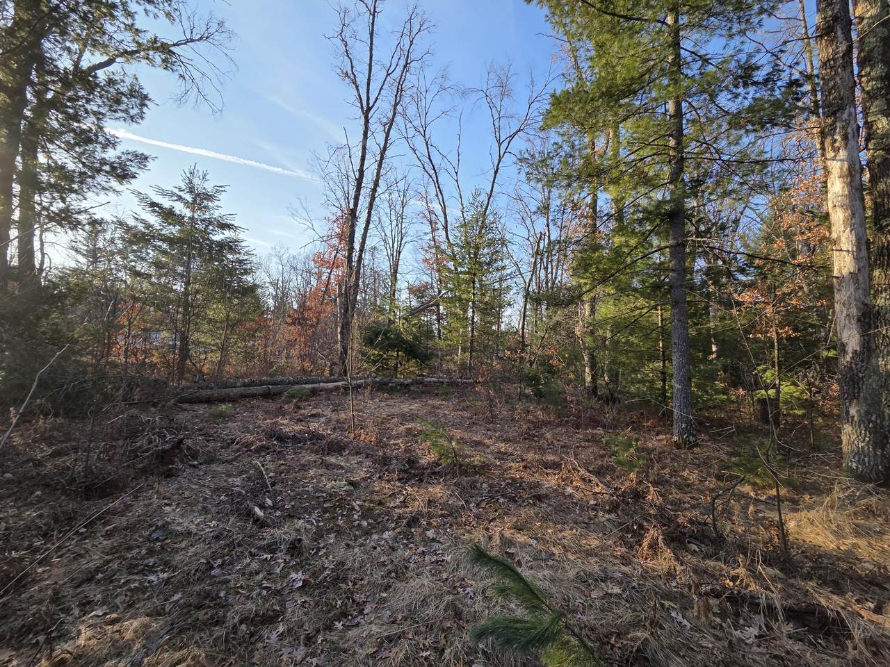 8517 Owen Avenue - Photo 1