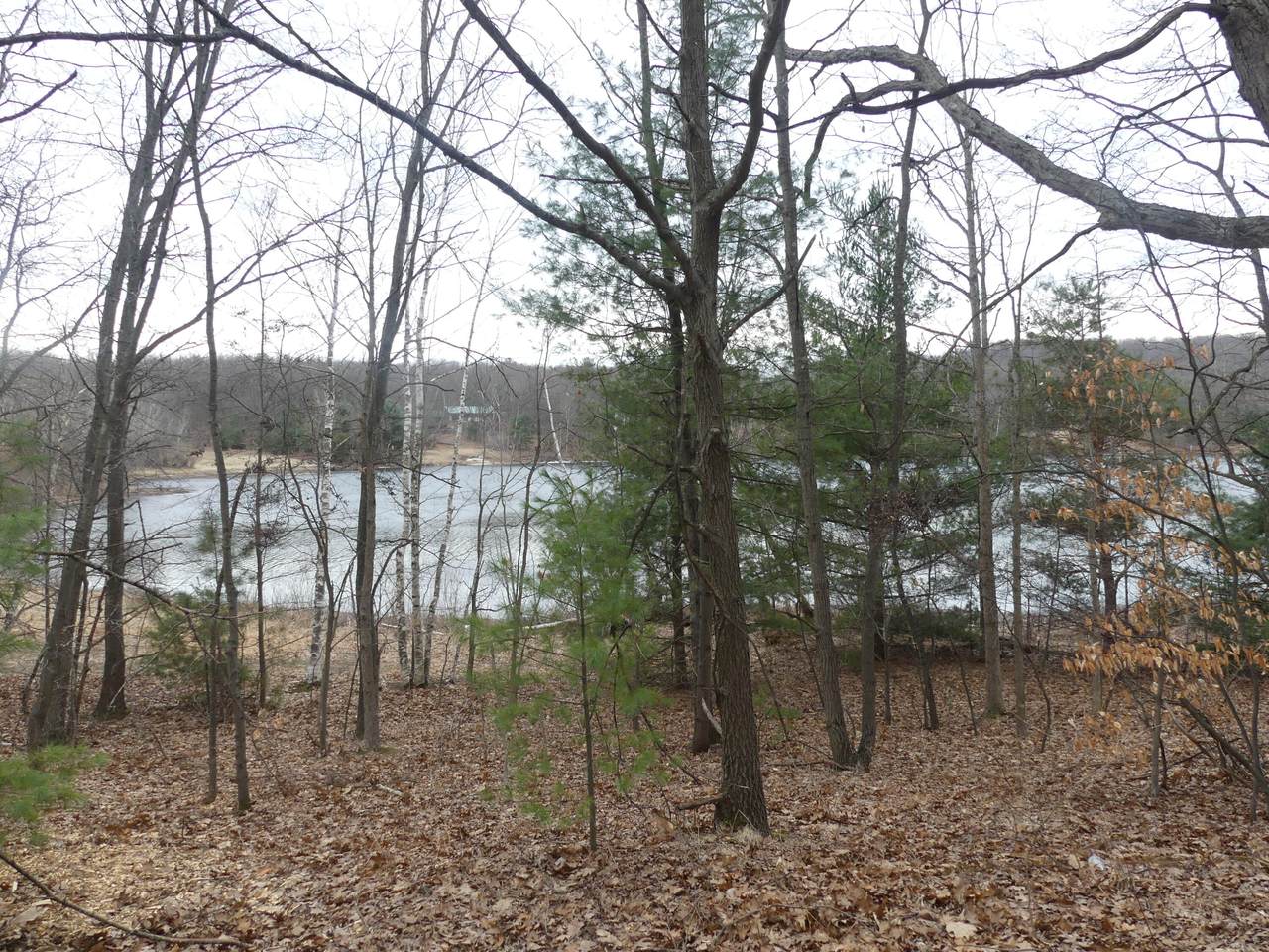 V/L Buchanan Road - Photo 1