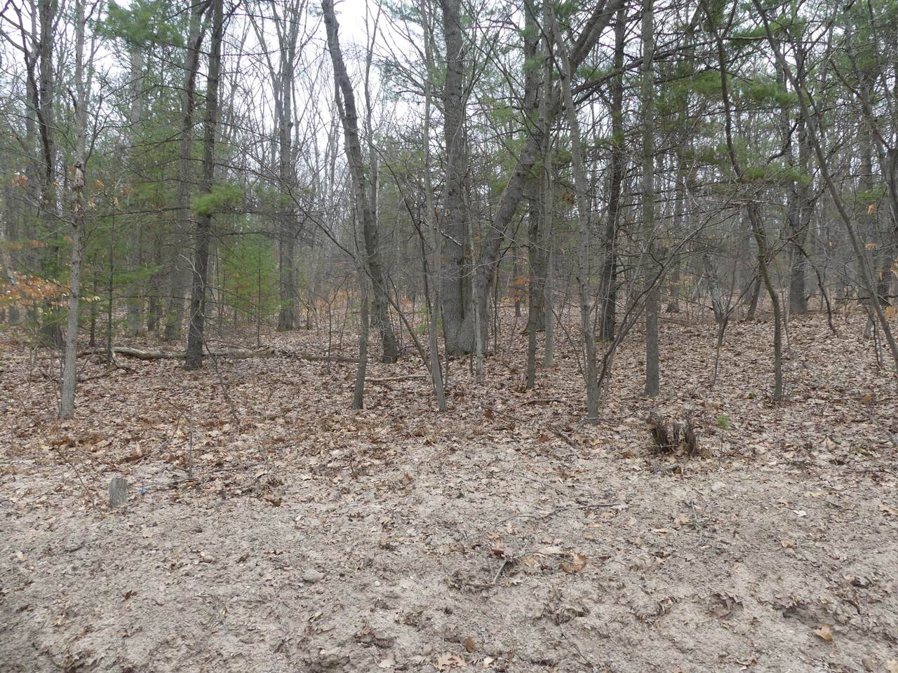 https://bt-photos.global.ssl.fastly.net/swmich/1280_boomver_1_26013006-2.jpg