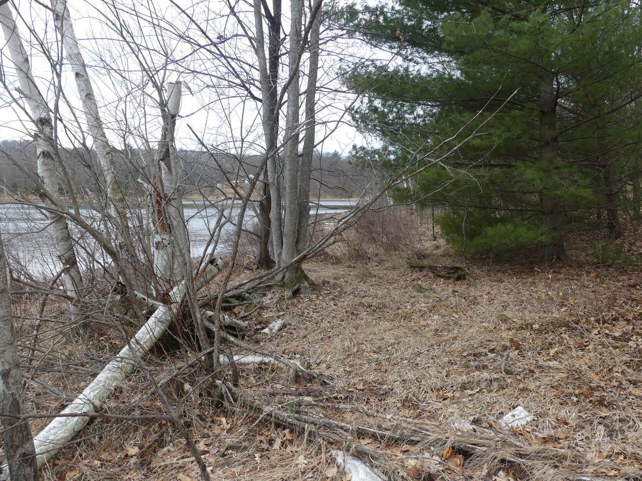 https://bt-photos.global.ssl.fastly.net/swmich/1280_boomver_1_26013006-2.jpg