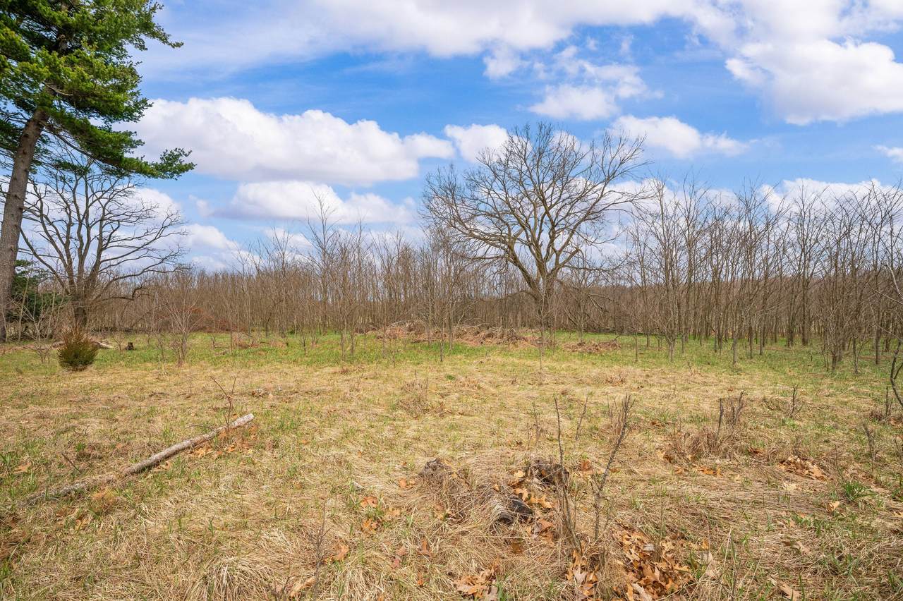 41820 County Road 352 - Photo 1