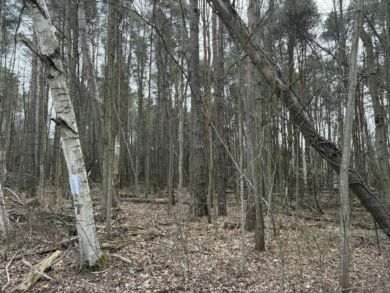 https://bt-photos.global.ssl.fastly.net/swmich/1280_boomver_1_26013109-2.jpg