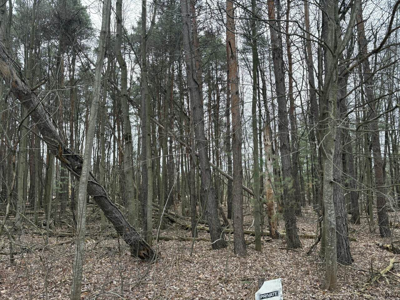 https://bt-photos.global.ssl.fastly.net/swmich/1280_boomver_1_26013109-2.jpg