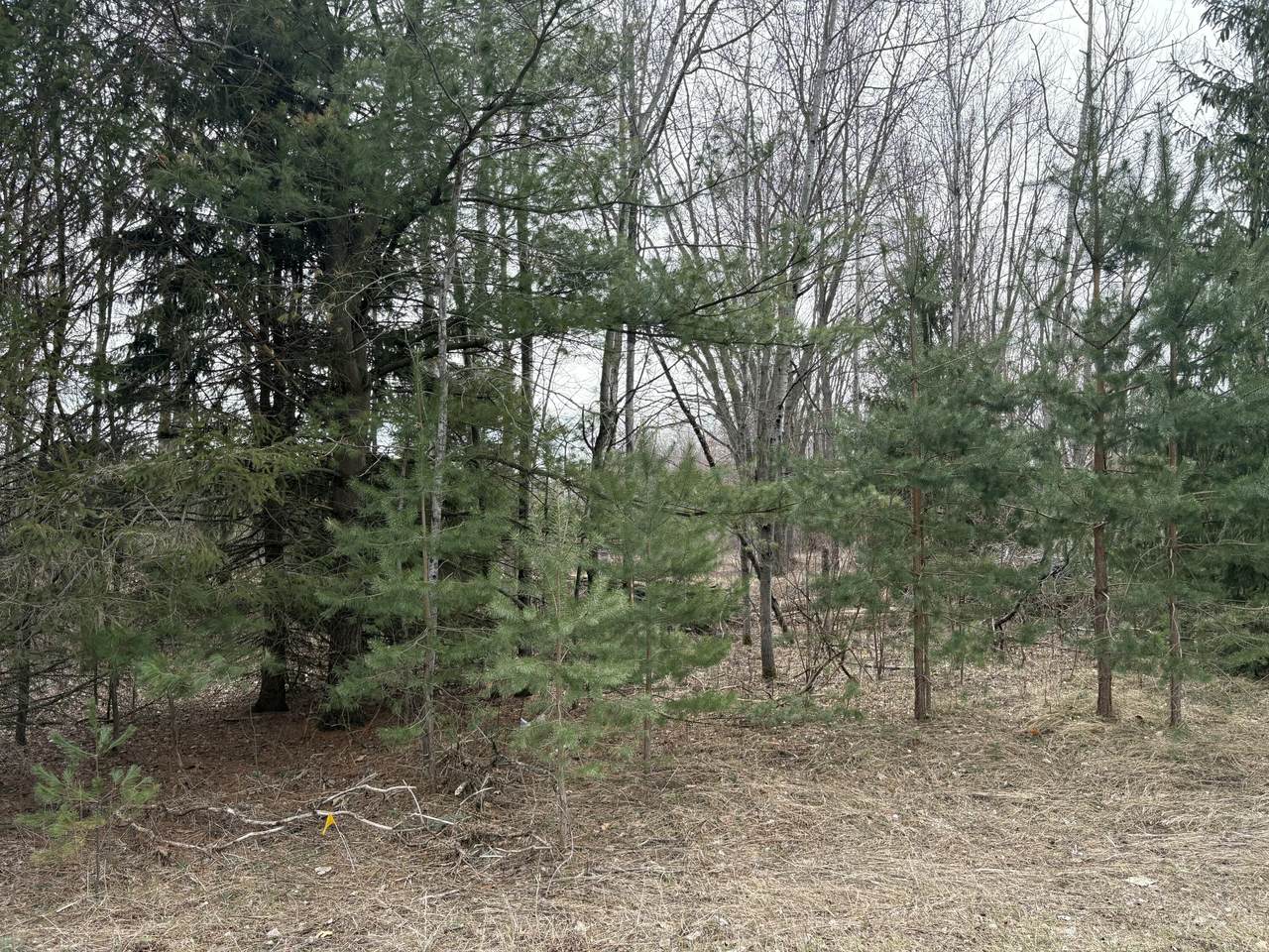 https://bt-photos.global.ssl.fastly.net/swmich/1280_boomver_1_26013109-2.jpg