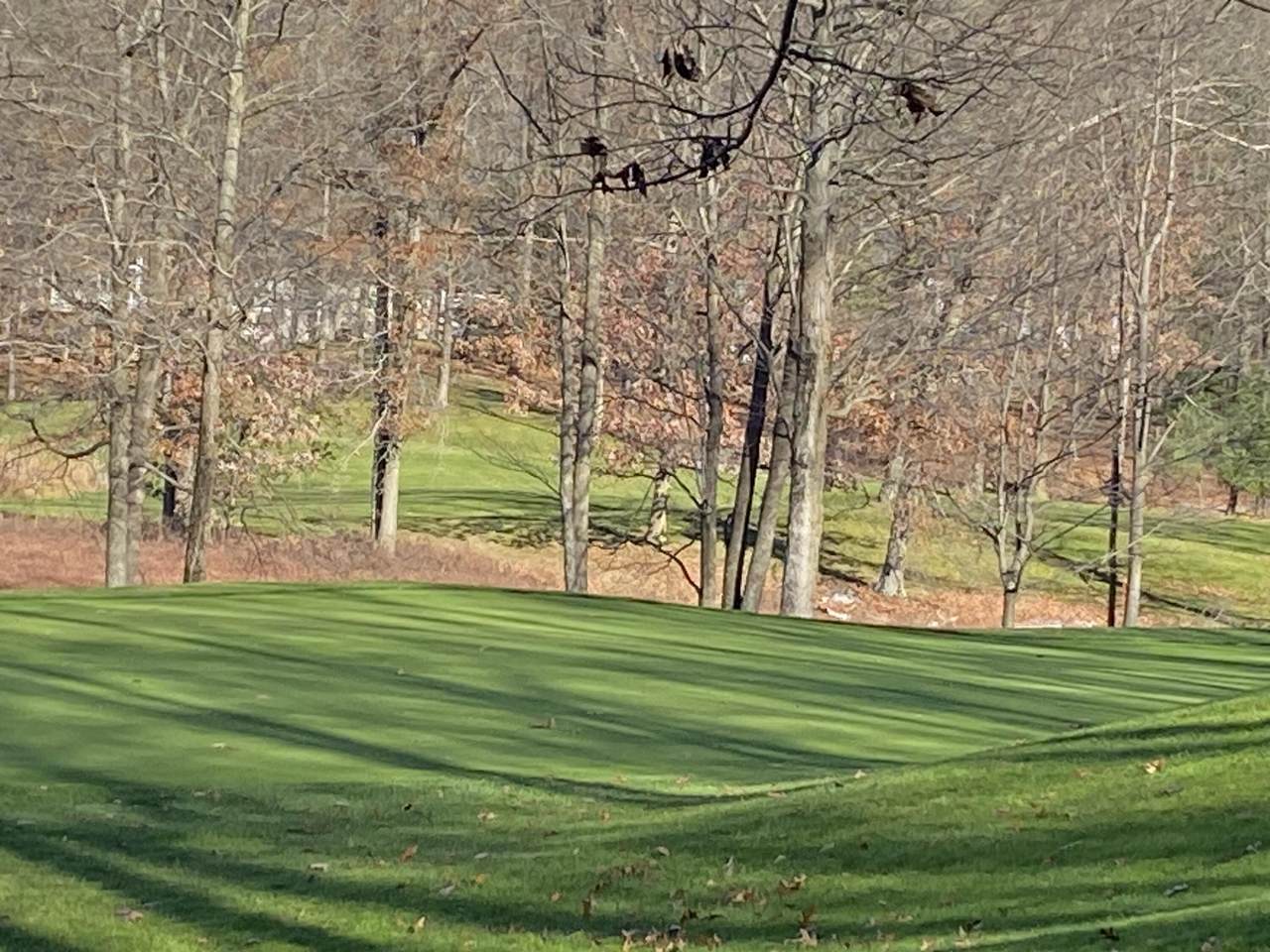 https://bt-photos.global.ssl.fastly.net/swmich/1280_boomver_1_26013135-2.jpg