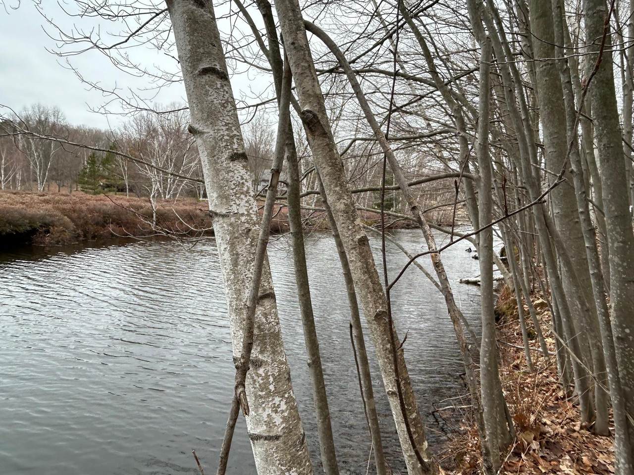 https://bt-photos.global.ssl.fastly.net/swmich/1280_boomver_1_26013141-2.jpg