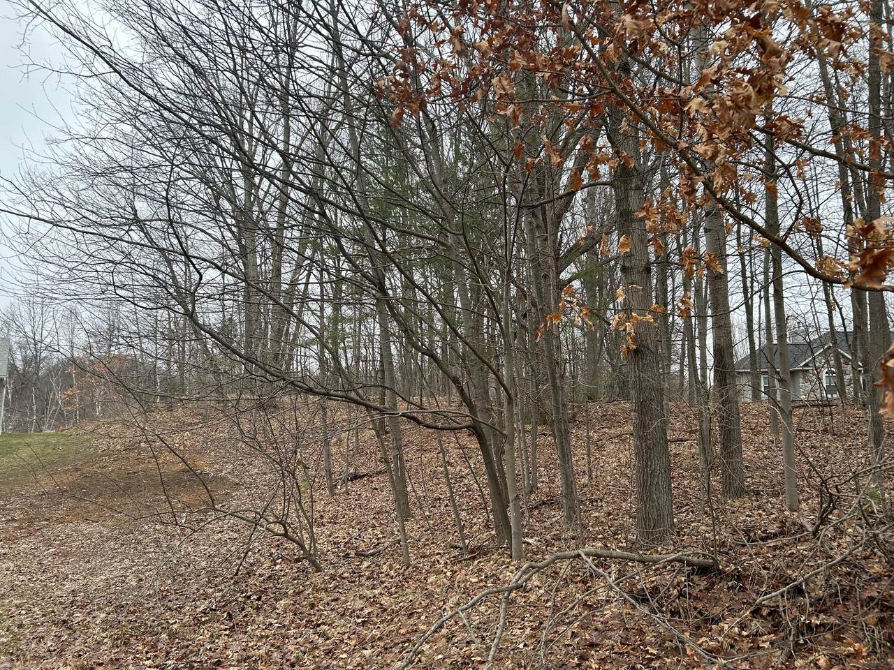 https://bt-photos.global.ssl.fastly.net/swmich/1280_boomver_1_26013141-2.jpg