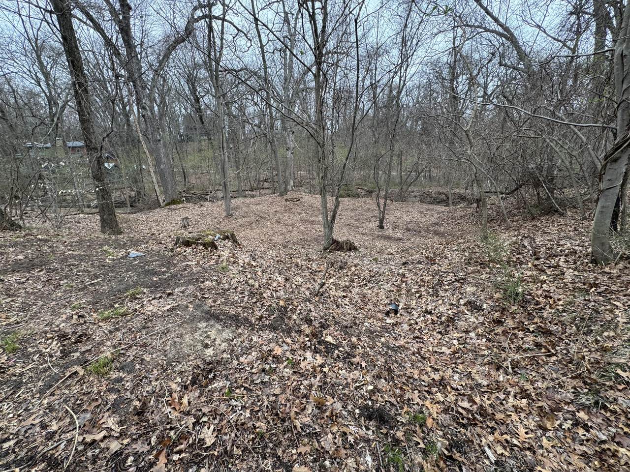 4202 Grand Bch Road - Photo 1