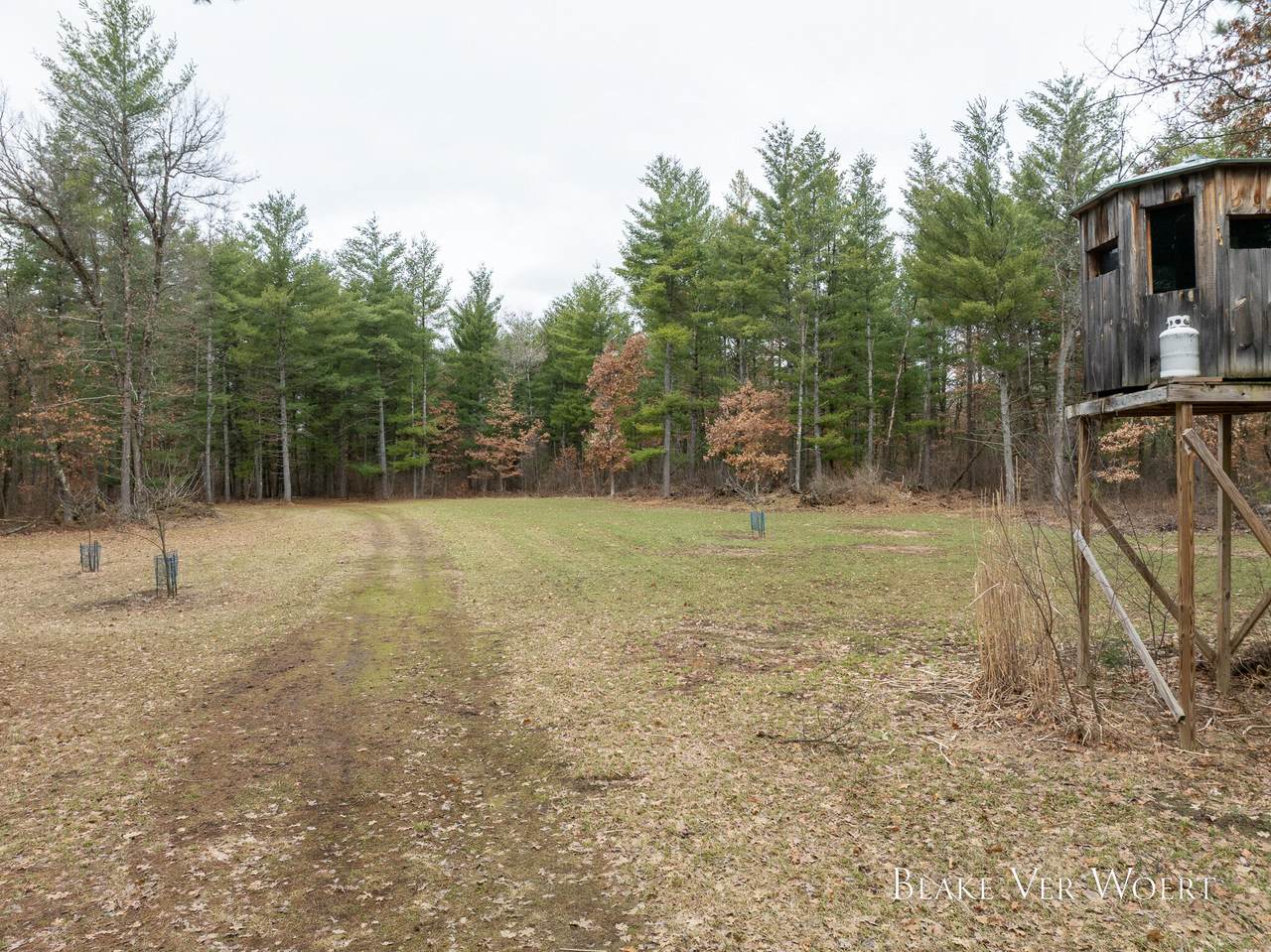 V/L 20.5A Walnut Avenue - Photo 1