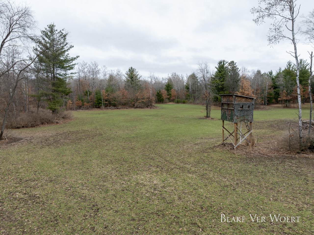 V/L 21A 15 Mile Road - Photo 1