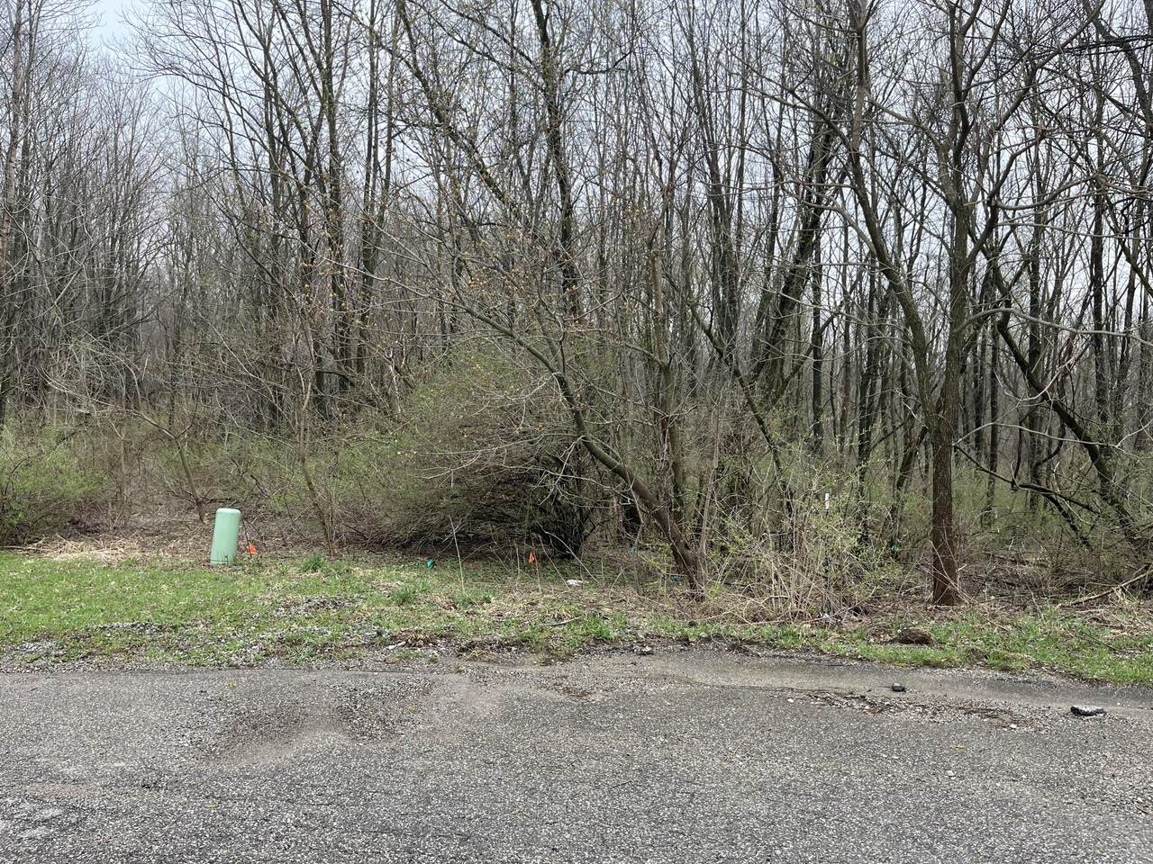 11 Forest Shores Drive - Photo 1