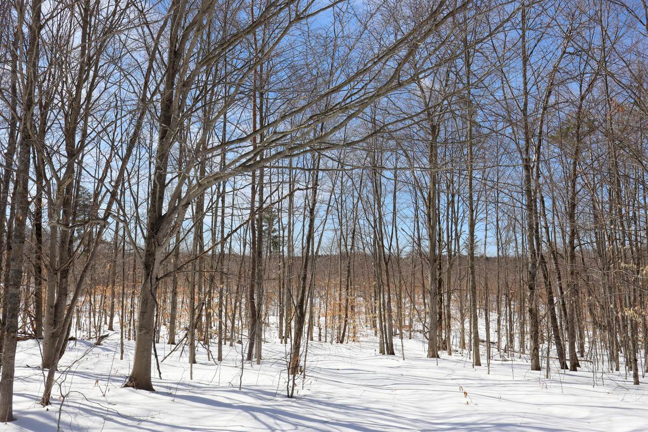 https://bt-photos.global.ssl.fastly.net/swmich/1280_boomver_1_26013357-2.jpg