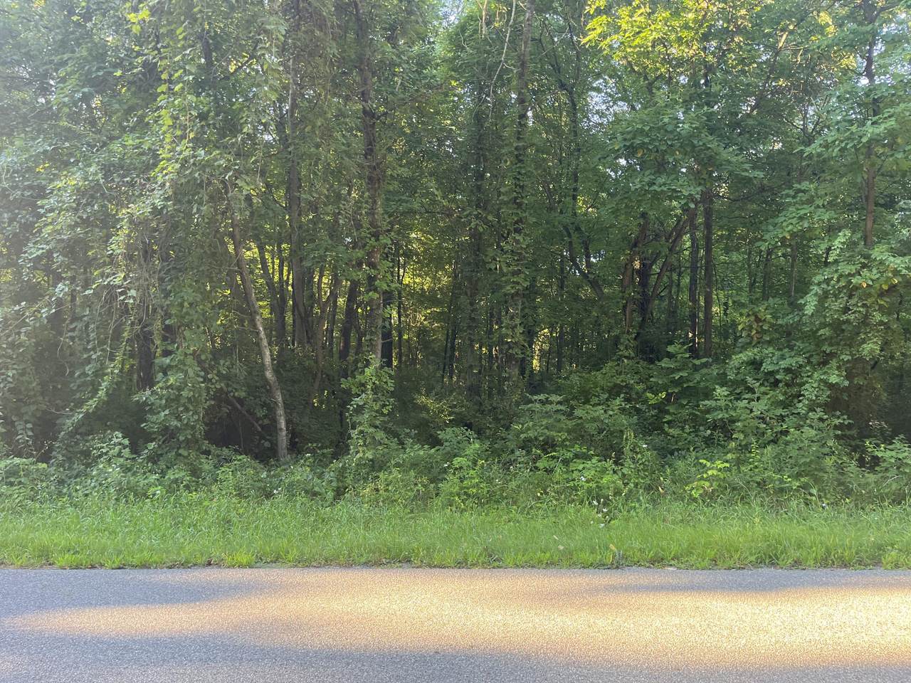 13164 Beckwith Drive - Photo 1