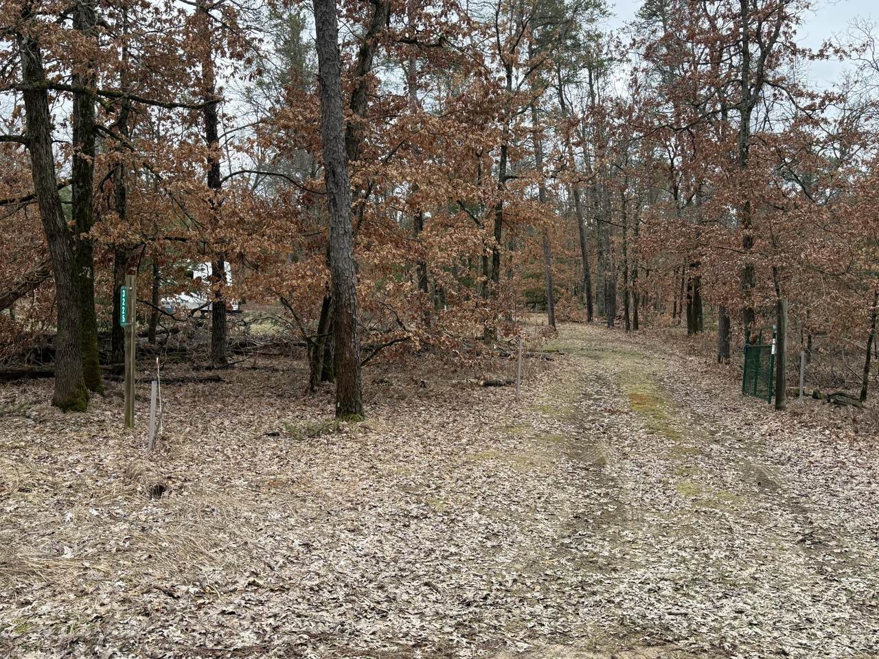3225 1 1/2 Mile Road - Photo 1