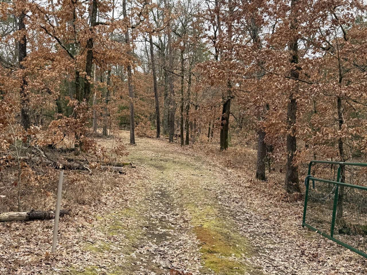 https://bt-photos.global.ssl.fastly.net/swmich/1280_boomver_1_26013529-2.jpg