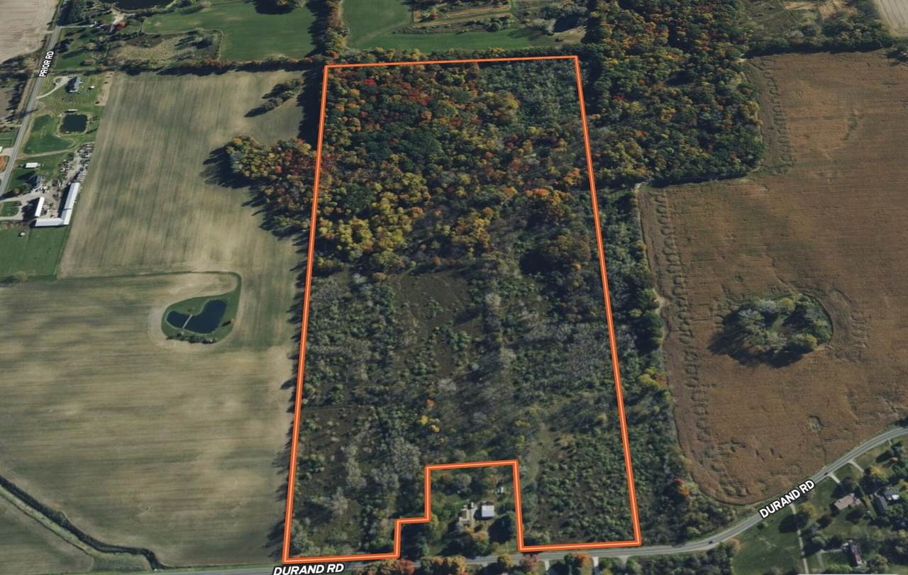 8453 Durand Road - Photo 1